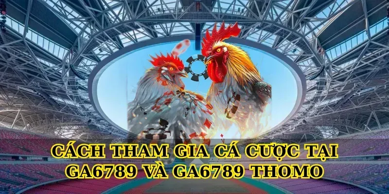 Cách tham gia cá cược tại Ga6789 và GA6789 Thomo